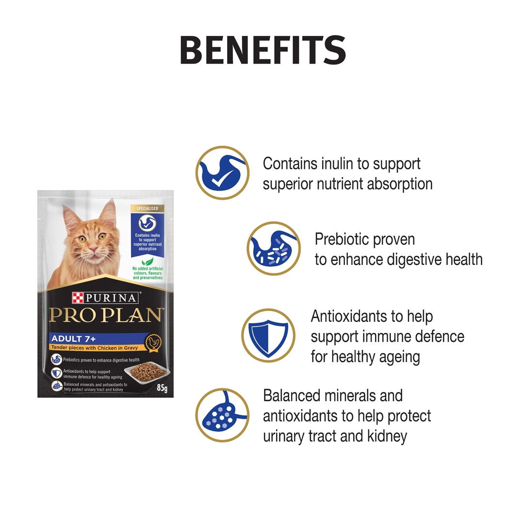Benefits of sales wet cat food